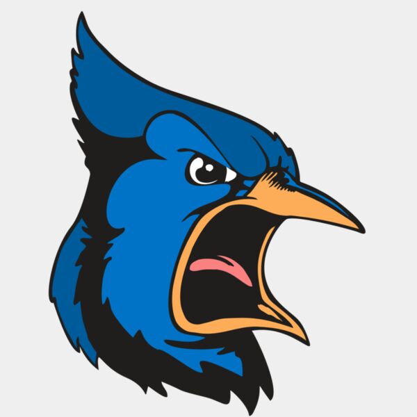 BAW BLUEJAY 03 RC Thumbnail