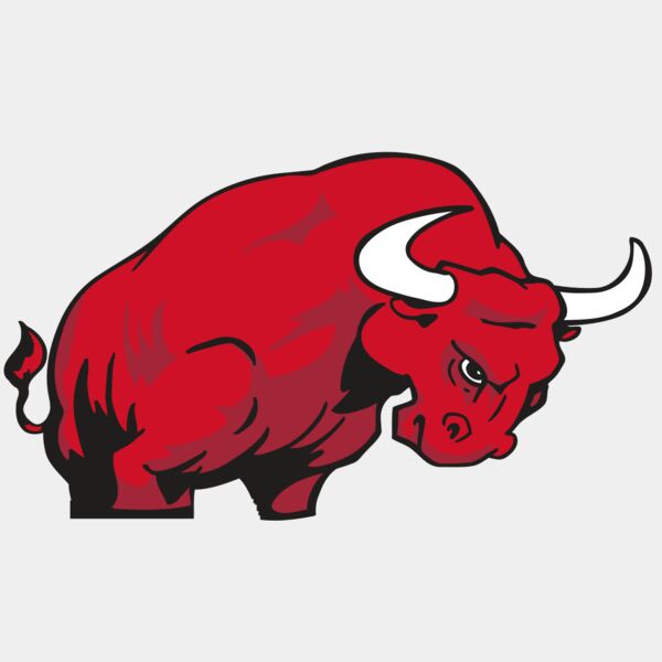 AR BULL 12 RC Thumbnail