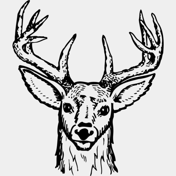 DEER012 Thumbnail